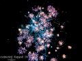 IMG_9888